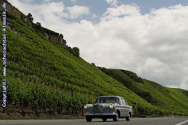 http://www.schozachtal-klassik.de/galerie/cache/vs_2007%20-%20Weinberge_Weinberge2007_002.jpg