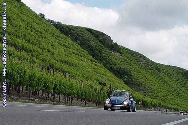 http://www.schozachtal-klassik.de/galerie/cache/vs_2007%20-%20Weinberge_Weinberge2007_010.jpg