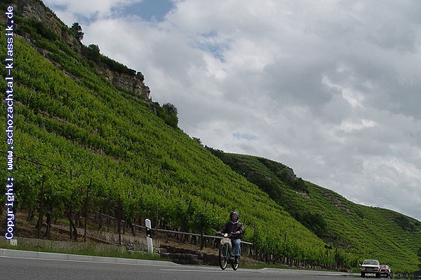 http://www.schozachtal-klassik.de/galerie/cache/vs_2007%20-%20Weinberge_Weinberge2007_018.jpg